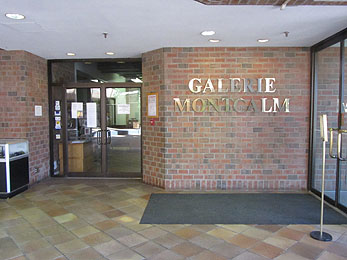 Galerie Montcalm photo